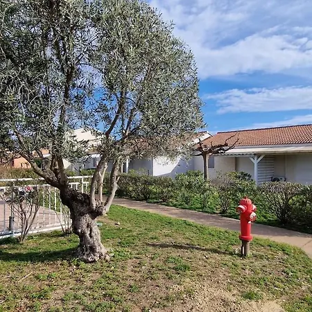 Tatil Evi La Casa De Giuseppe