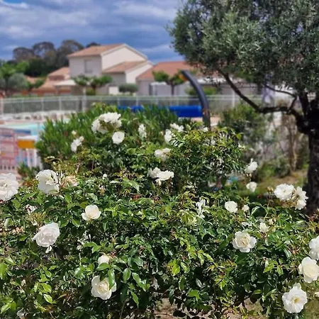 La Casa De Giuseppe Tatil Evi *